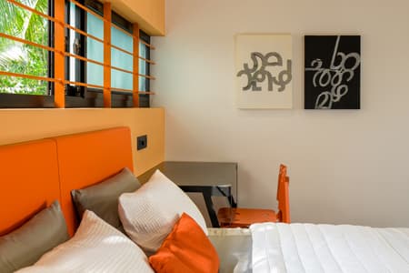 The Colour Burst House